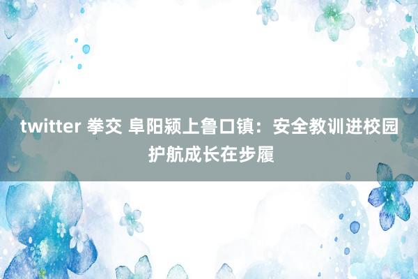 twitter 拳交 阜阳颍上鲁口镇：安全教训进校园 护航成长在步履