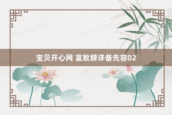 宝贝开心网 富致録详备先容02